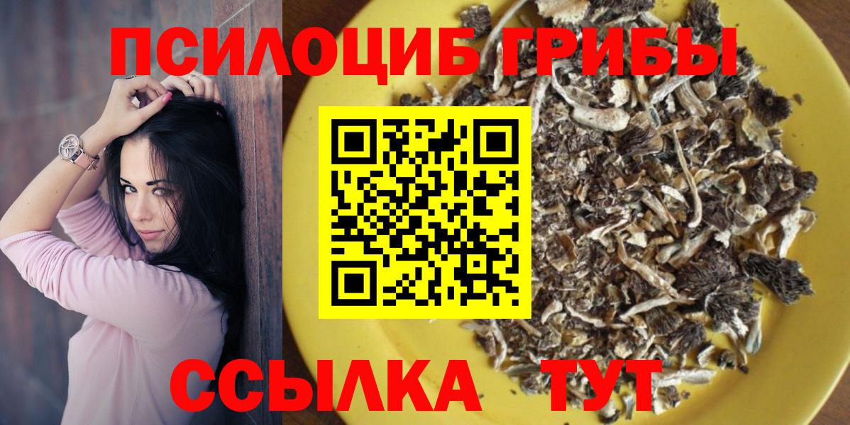 Псилоцибиновые грибы GOLDEN TEACHER Малгобек