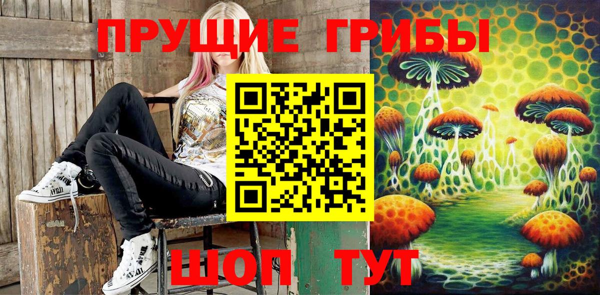Псилоцибиновые грибы мухоморы  Галлюциногенные грибы Cubensis  Малгобек  Вход с VPN 